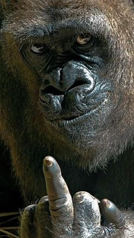 737de63b49d82e02bb59a5b7d82499b6