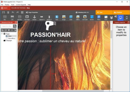 WebAcappella Grid 1.6.15 Multilingual