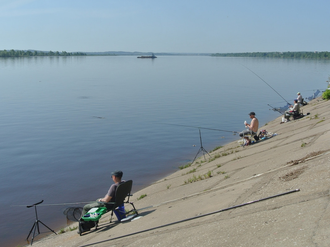 Камский фидер 2015-1 028