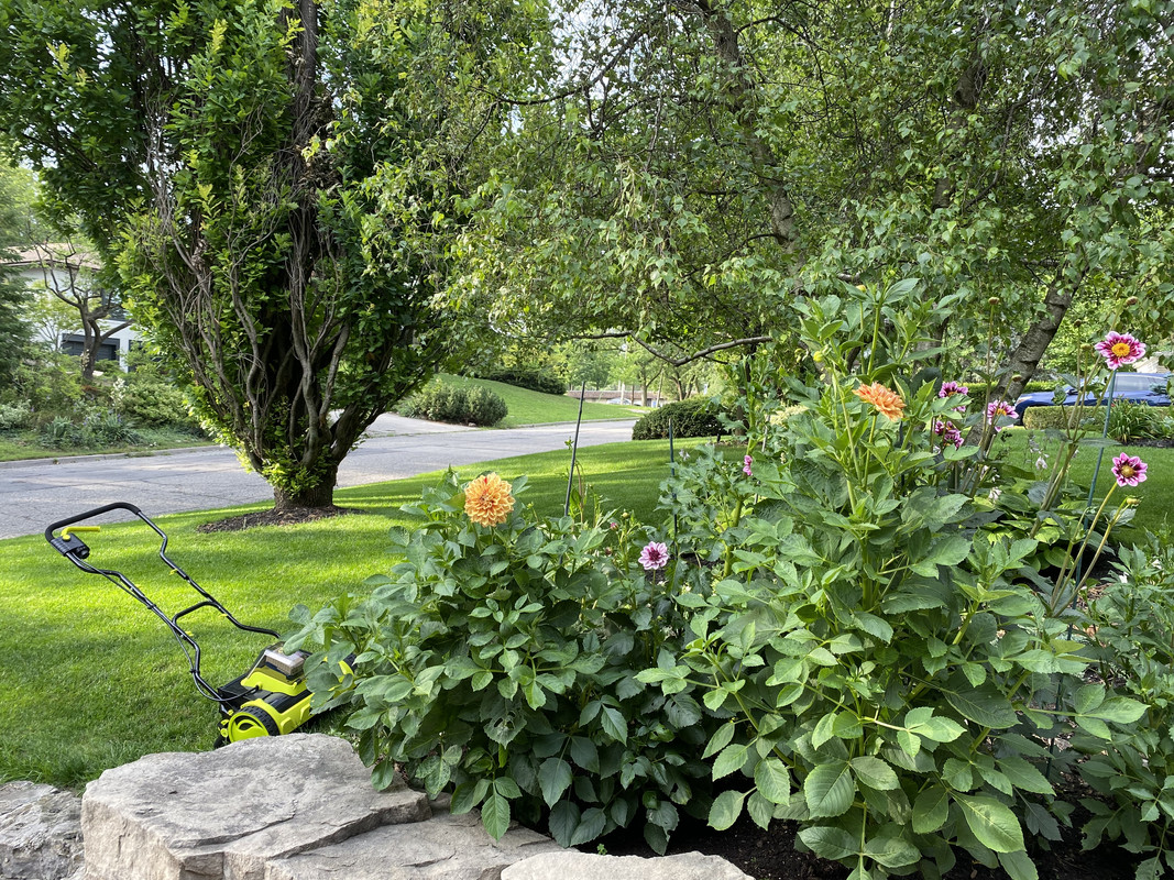 3A67EC1C-D8C9-4698-98E2-62473894721F