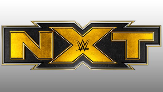  WWE NXT Online 