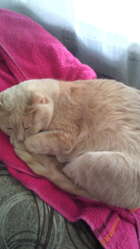 image.jpgрмдапглнаа