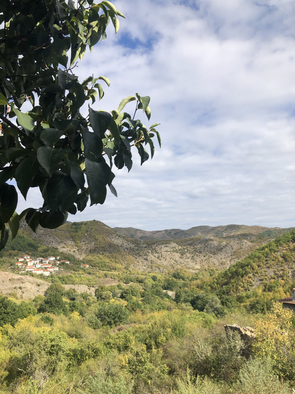 C7E3A162-CAB3-4525-8268-58BB41C130B5