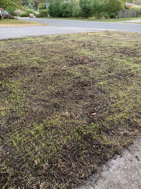 FB62505A-4D64-436D-B6C2-9D28598662F6