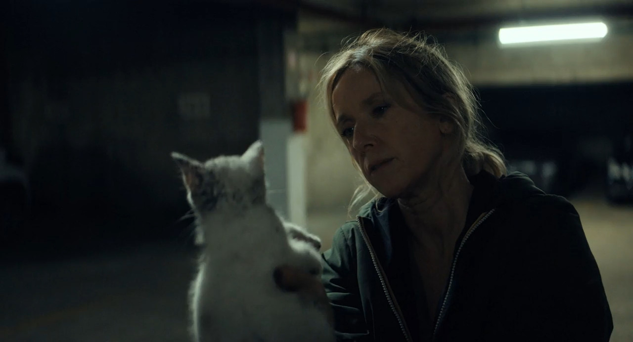 Case 137 2025 WebRip [Hindi + French] 480p 720p ESub Screenshot