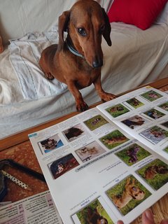 [Image: DSC-0689.jpg]