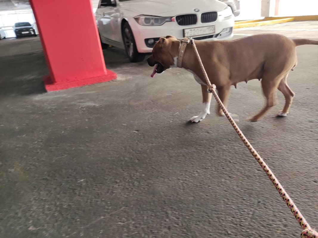 WhatsApp Image 2022-09-18 at 09.46.11 (1)