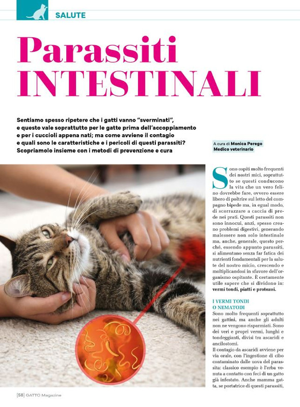 Ga Ma Giu-Lug 2025 (7)