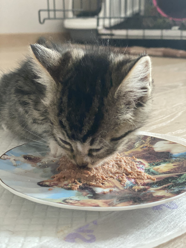 952DC44A-ACD9-4E25-98DA-3092F825287F