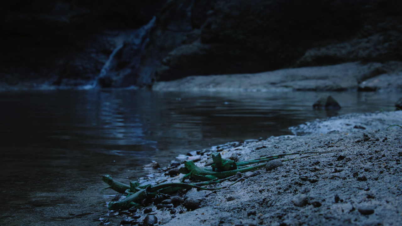 vlcsnap 2025 10 28 09h50m25s578