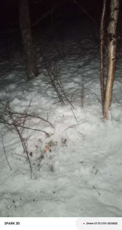 IMG 20251216 075249 827