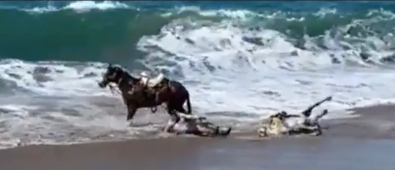 Caballos en Mazatlán pierden el control por las olas durante cabalgata familiar
