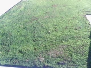 IMG_20171012_081550_612