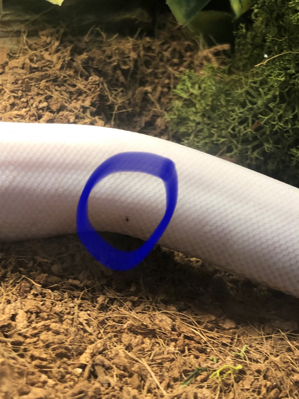 B5767175-2B1A-45F7-B75D-6975E5CF274D