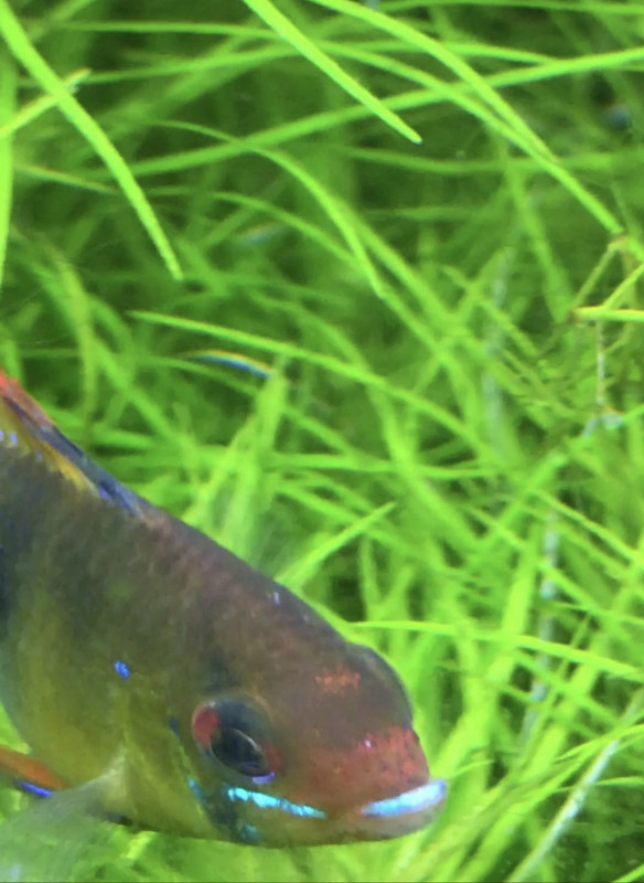 4B7C7E85-9AB8-462C-AF98-431AB32060CA