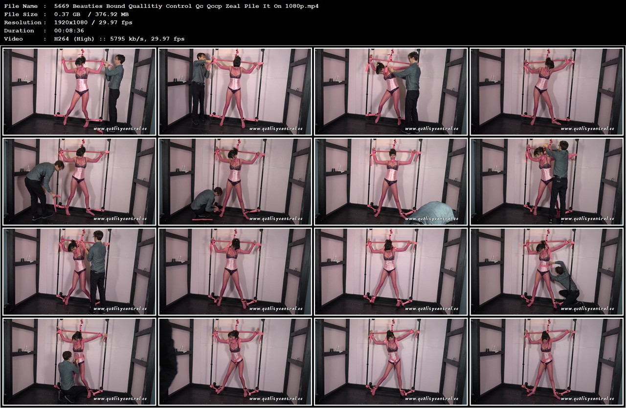 5669 Beauties Bound Quallitiy Control Qc Qccp Zeal Pile It On 1080p mp4