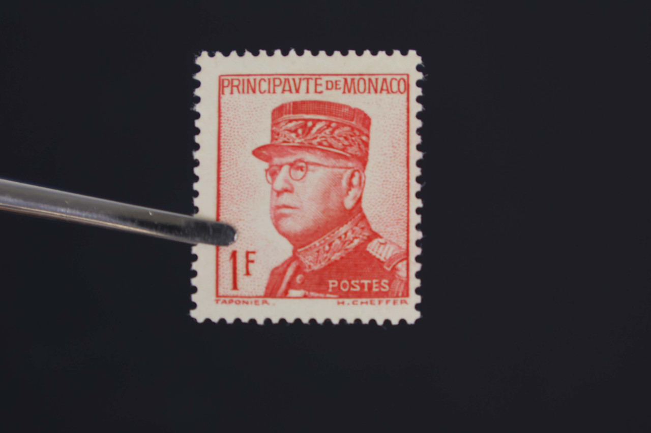 IMG 2595