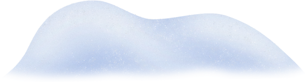 Christmas in Forest5