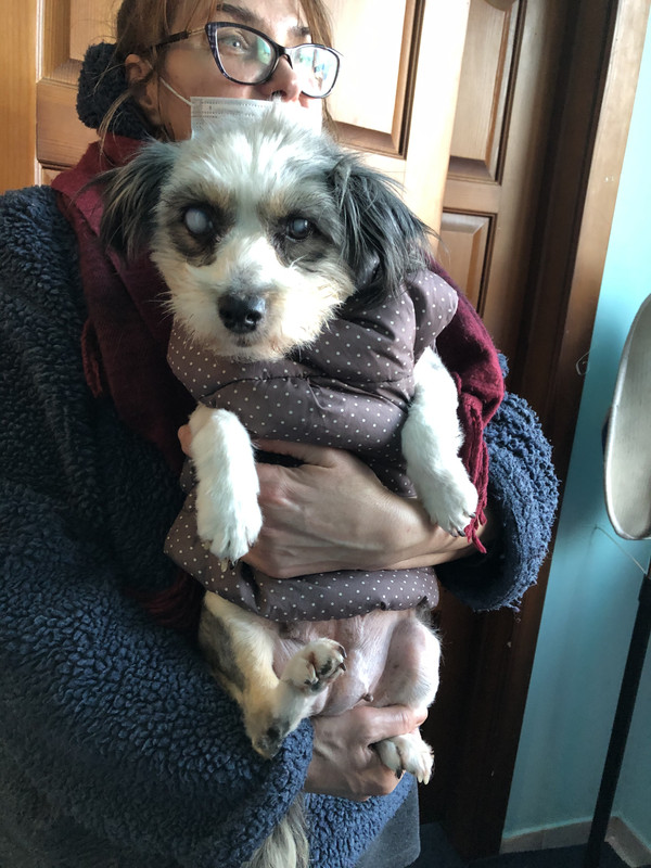 53DB13DD-6325-4666-B179-E63D2FFAF7BD