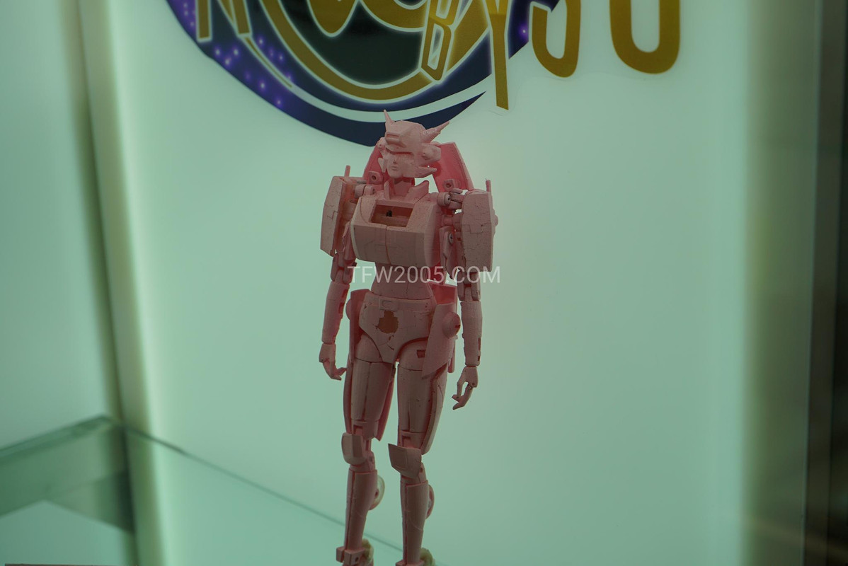 TFcon-2018-Third-Party-Display-070