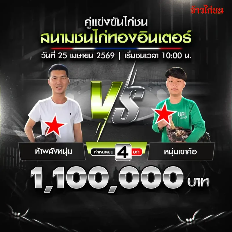 รูปคู่ ห้าพลังหนุ่ม พบ หนุ่มเขาค้อ สนามชนไก่ทองอินเตอร์ 25 เมษายน 2569