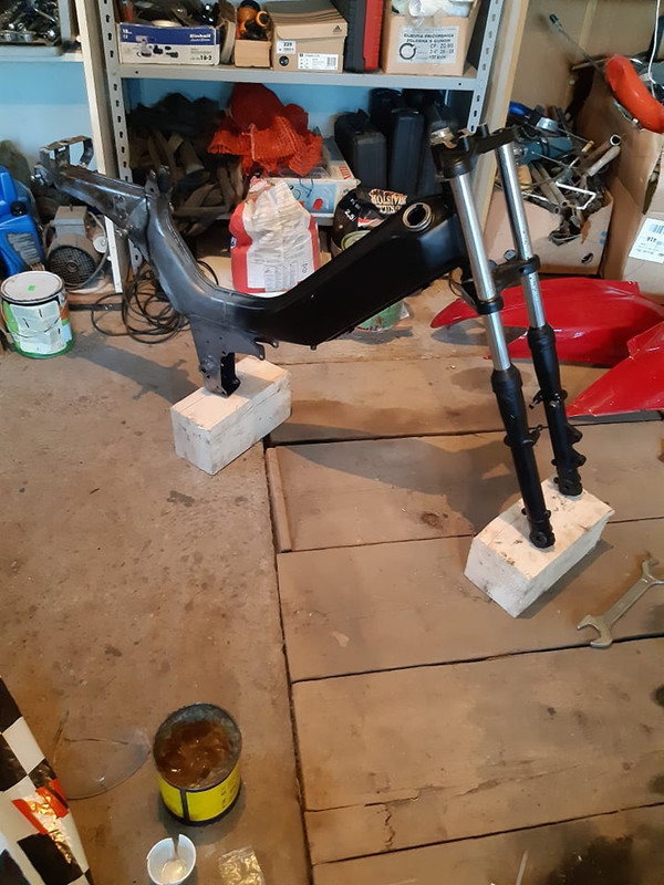 64535205_331275011105704_4804225455232122880_n