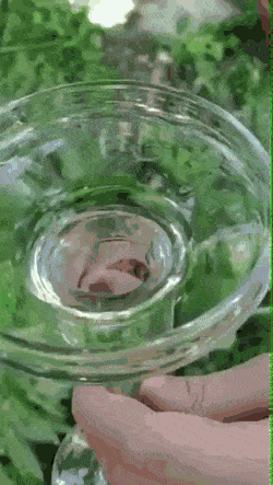 GIFs-5