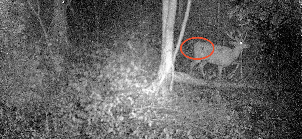 95735809-5D62-4E0A-994E-2CE877A21512