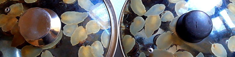 20190426-160841