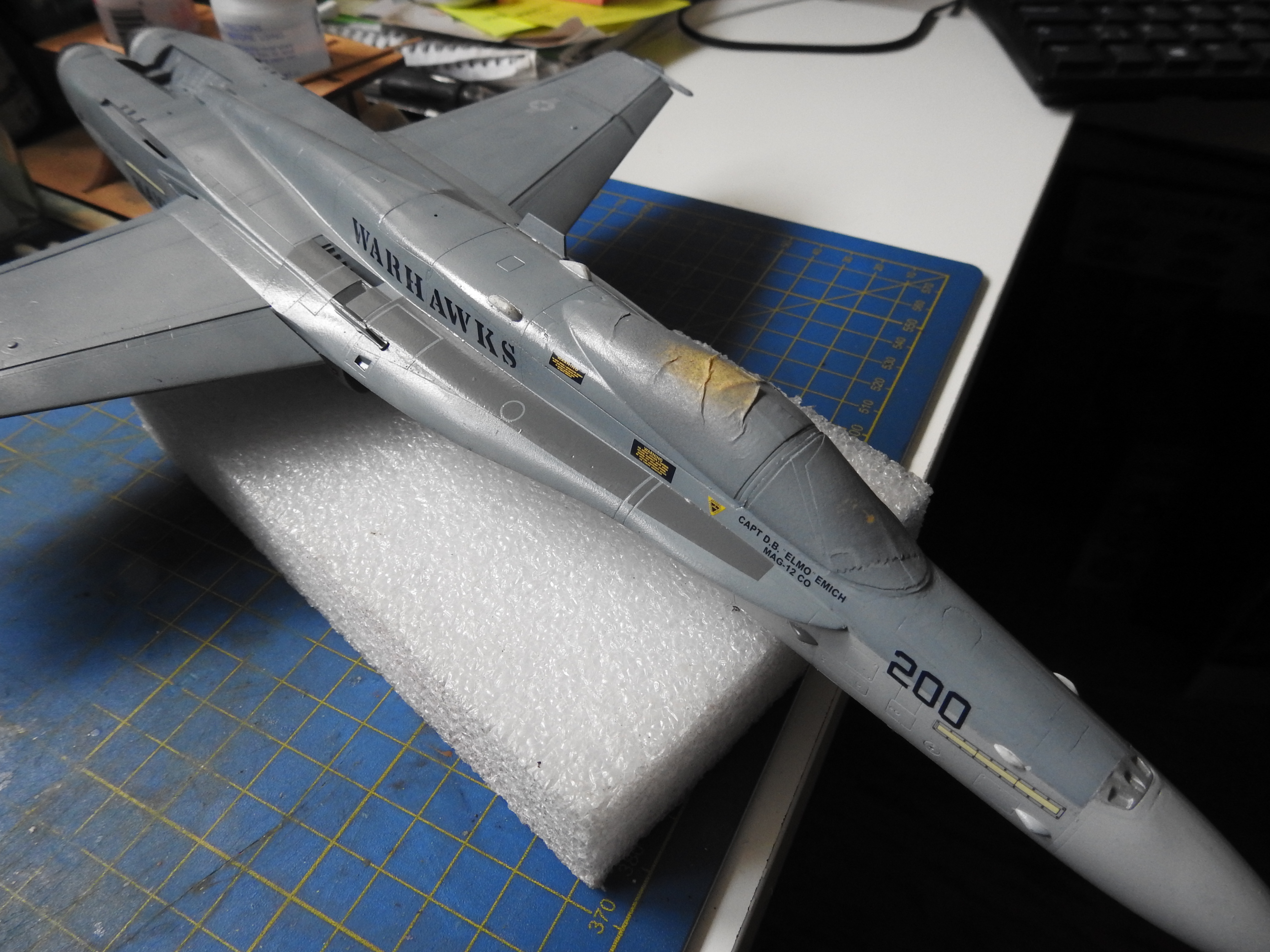 F/A-18C Hasegawa 1/48 - Sida 2 DSCN8826