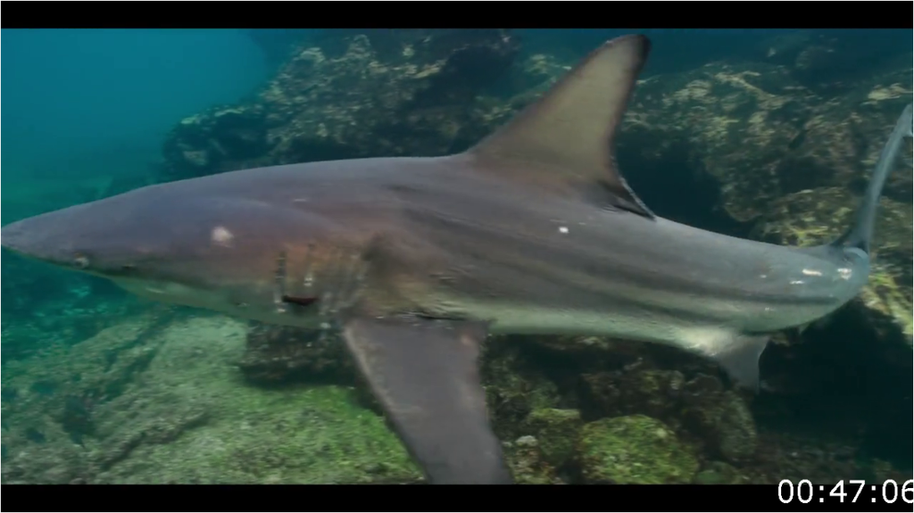 [Image: zc97ttja99qp.png]