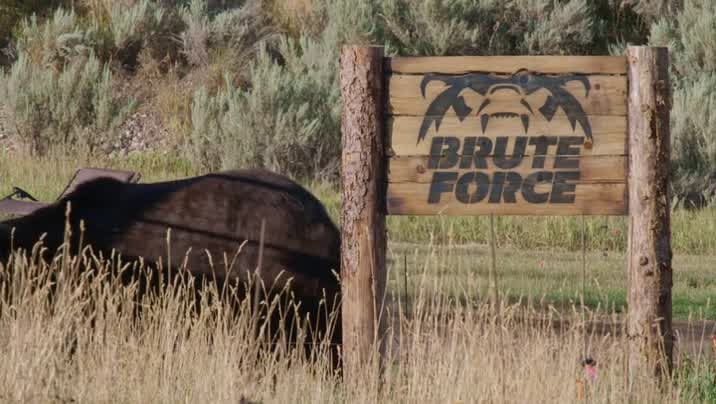 [Image: oedk6lq967df.jpg]