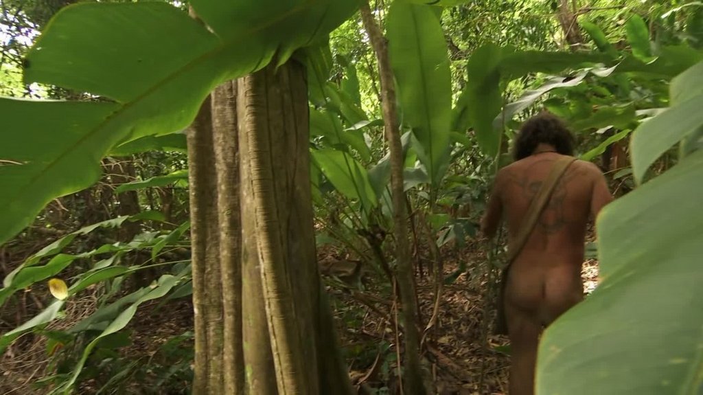 [Image: csneh786z2hf.jpg]