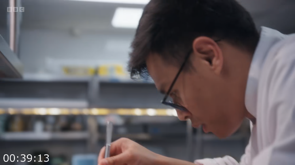 [Image: b8wu3l7hv0vj.png]