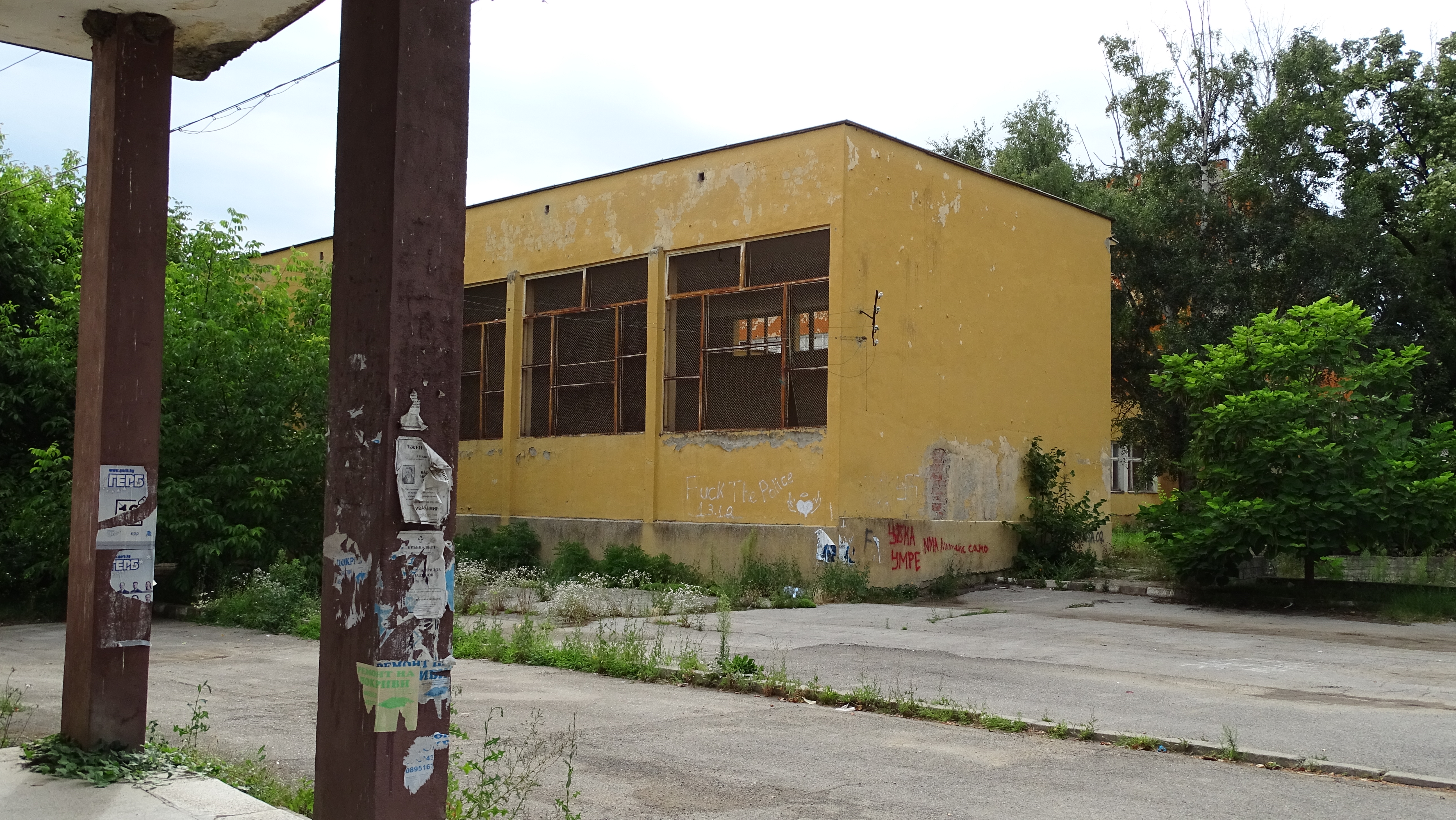 DSC02084.jpg