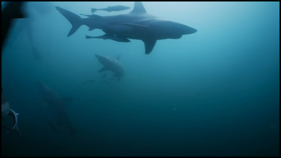 [Image: xegyi3u8k9d7.png]