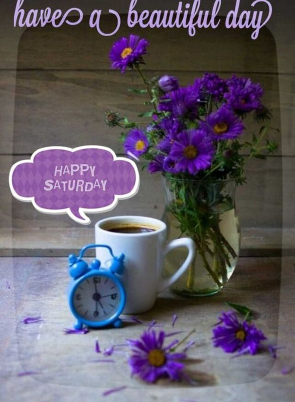 An den Beitrag angehängtes Bild: https://i.postimg.cc/kM00nqkL/oie-19111255-Qu-LLJL9d.jpg