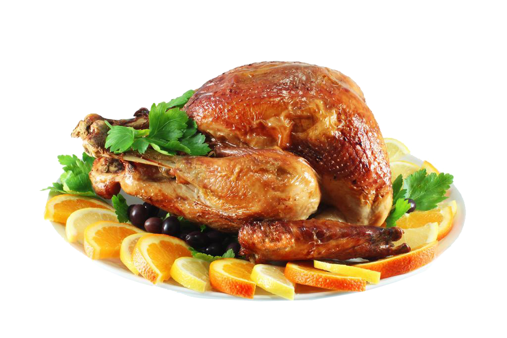 Protein