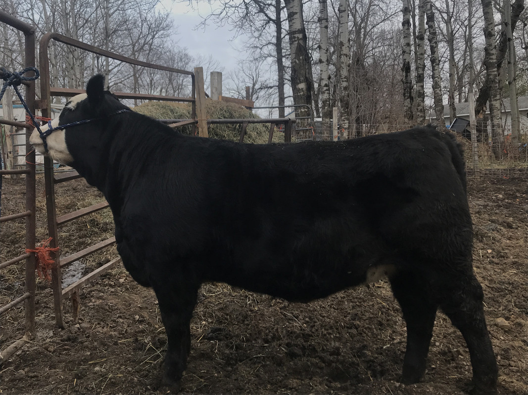 AA4B7960-0BBC-4DFB-8BE0-D37DE059C817