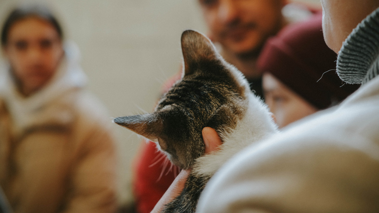 0CDA705E-EDDE-40DF-96CC-C31F1672581A