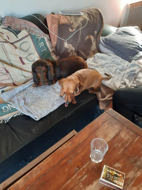 [Image: 20200826-164739.jpg]