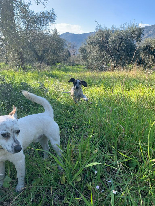 786D2312-4319-4AA1-A4CB-15CD738EE916