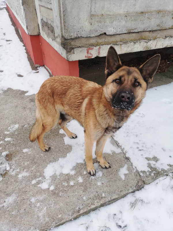 26EEE48E-0601-4A76-A704-F229E895B14B