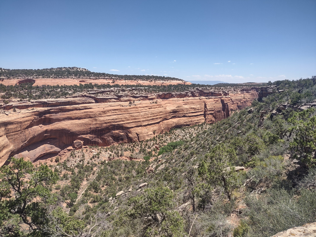 IMG_20250620_132558289_HDR