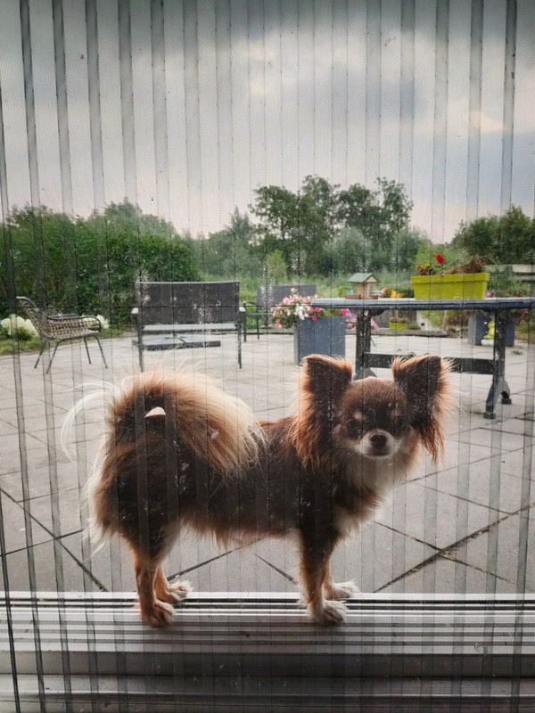 Lumii_20210726_204625310