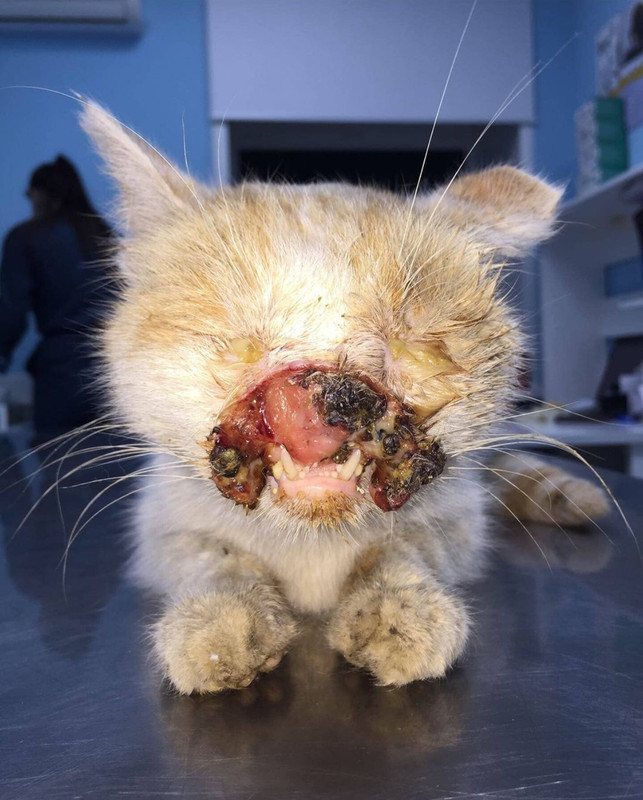 62E62A6B-B166-4D72-9CAB-BA4AFBE2A2C6