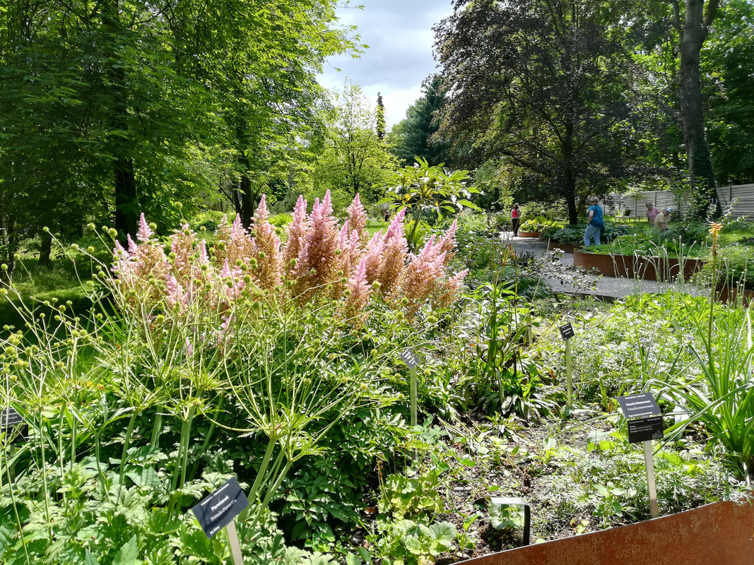 011 - IMG_20190714_130724