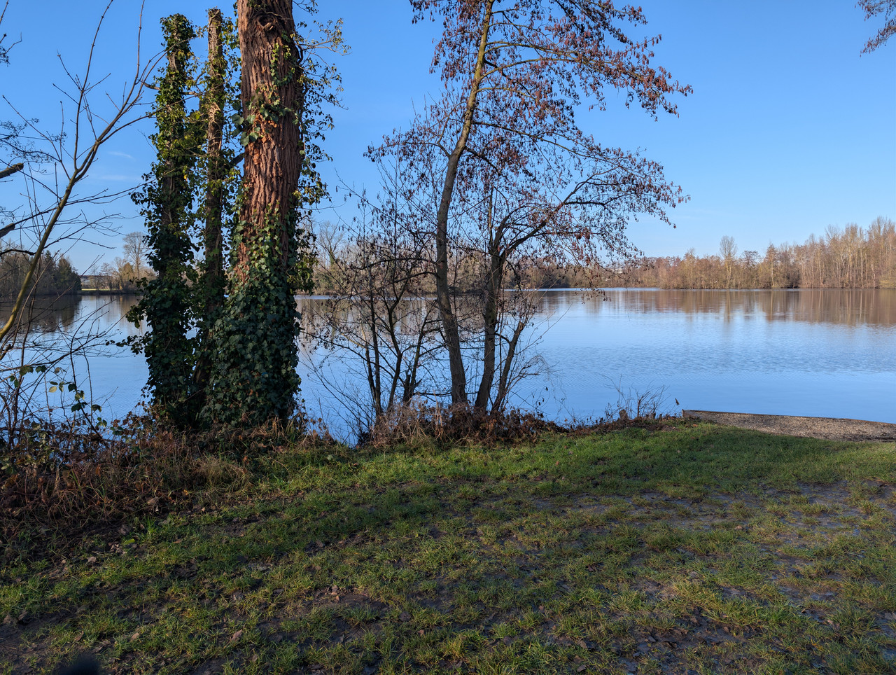 PXL 20260207 093923970