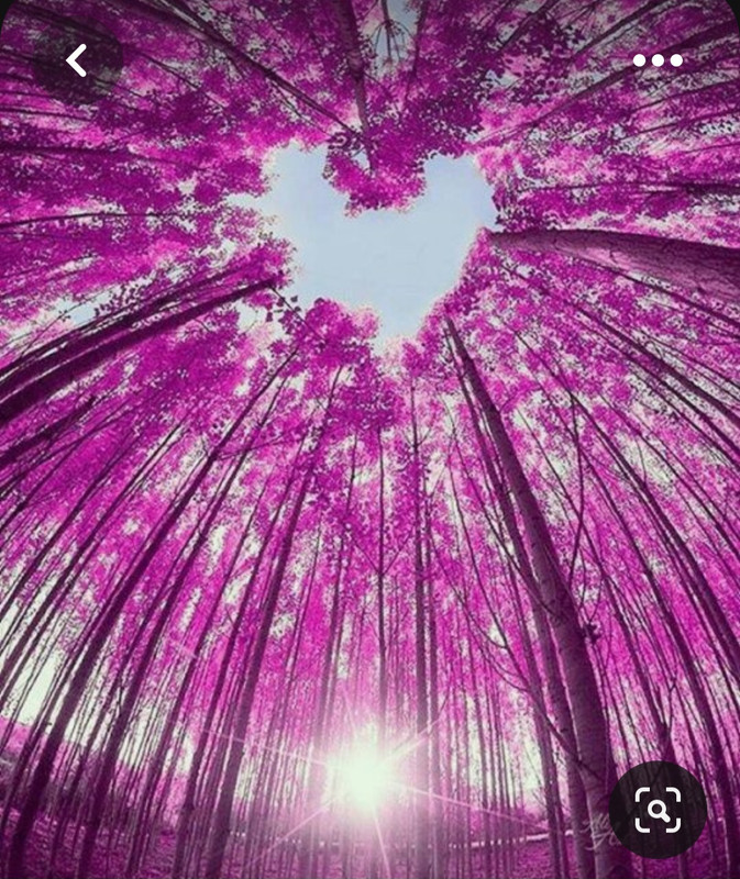 Screenshot_20230719_005405_Pinterest