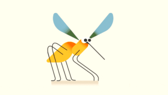 GIF-20250924-183652-914.gif